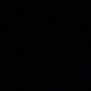 Meet your Posher, Bobby